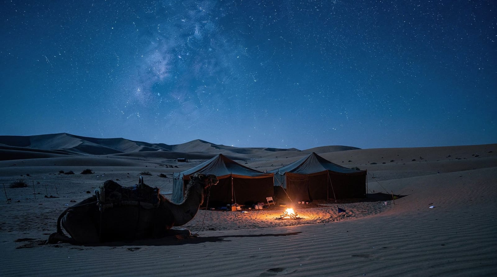 Une nuit dans le Sahara