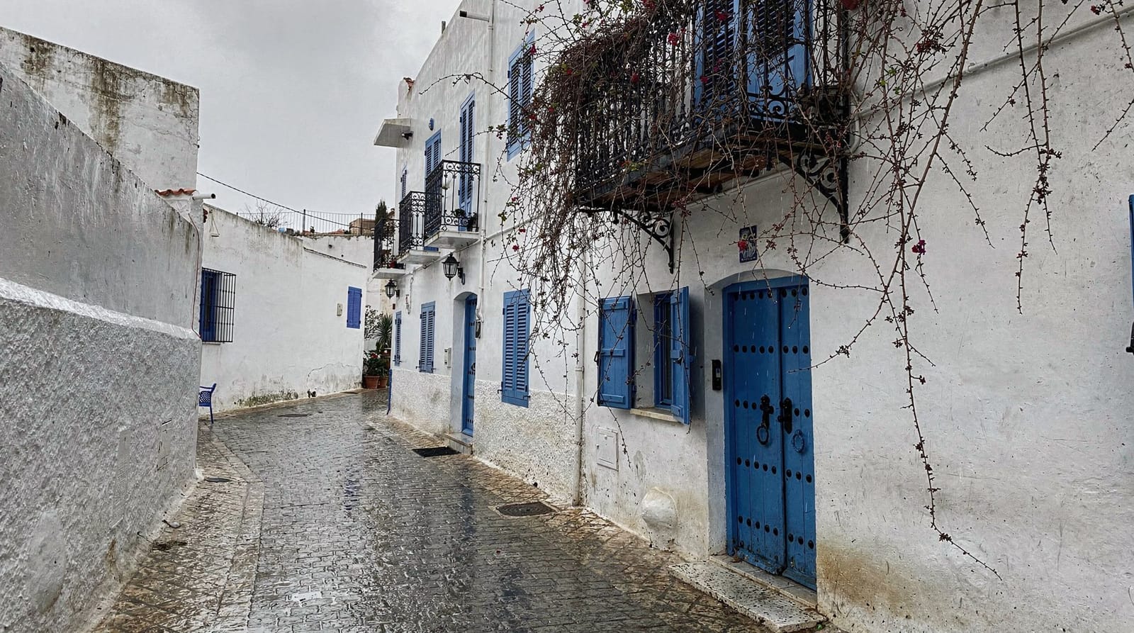 Un après-midi à Sidi Bou Saïd en hiver