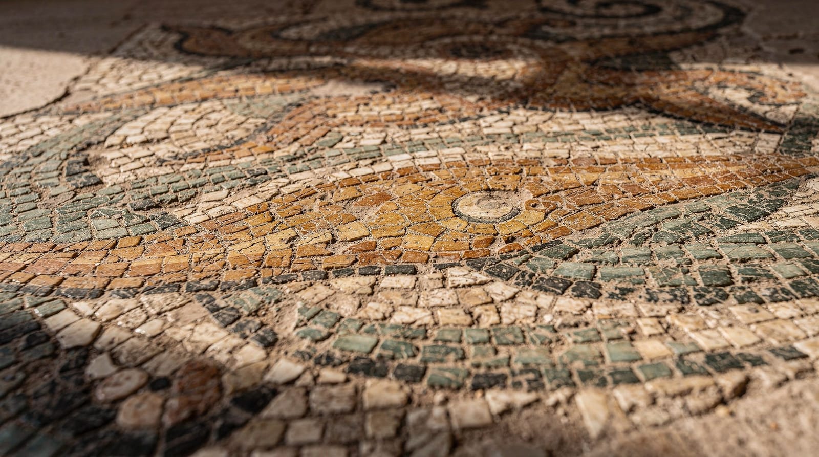 Os mosaicos do Bardo, sala a sala