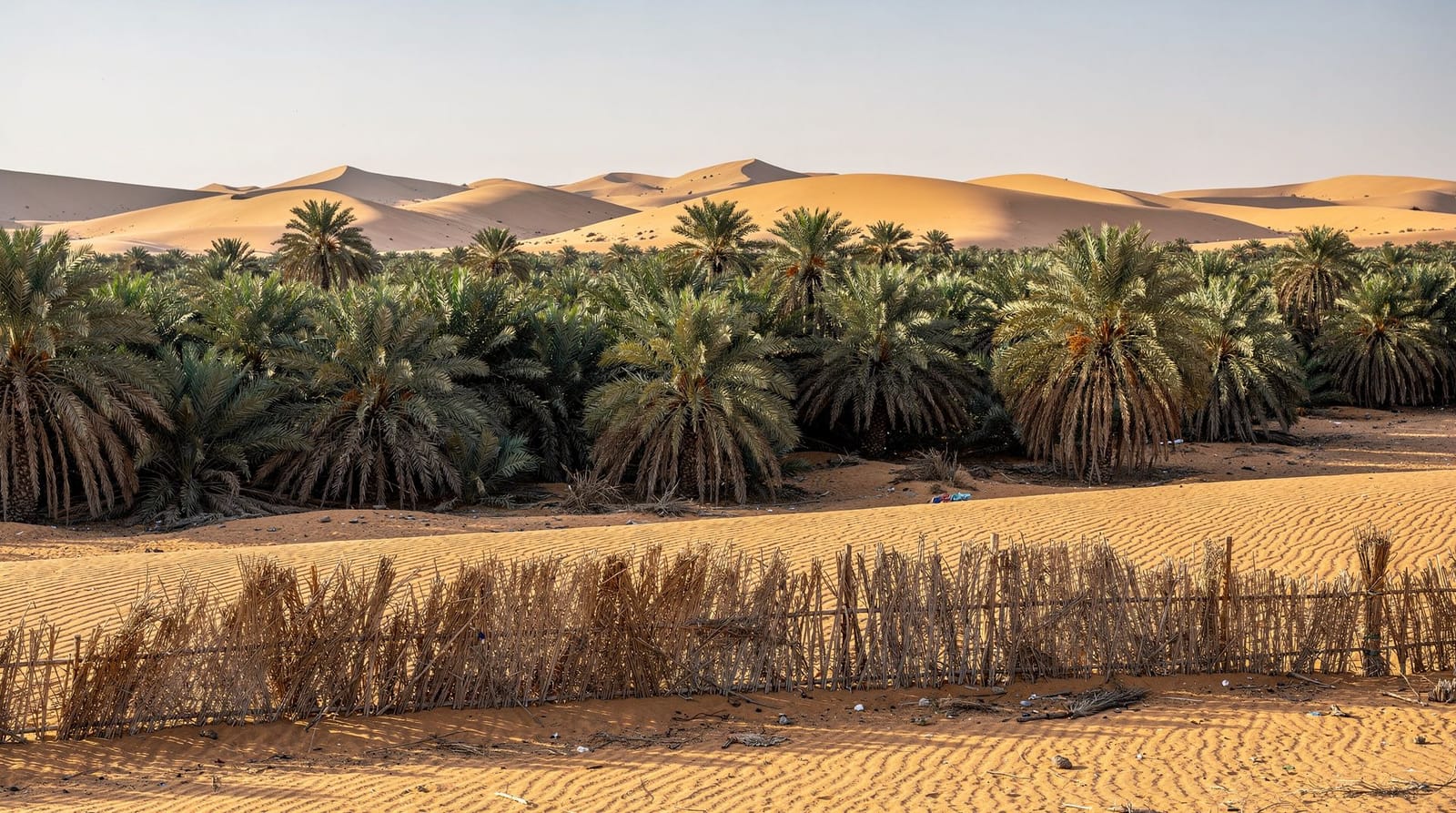 Douz, a porta de entrada do Sahara tunisino