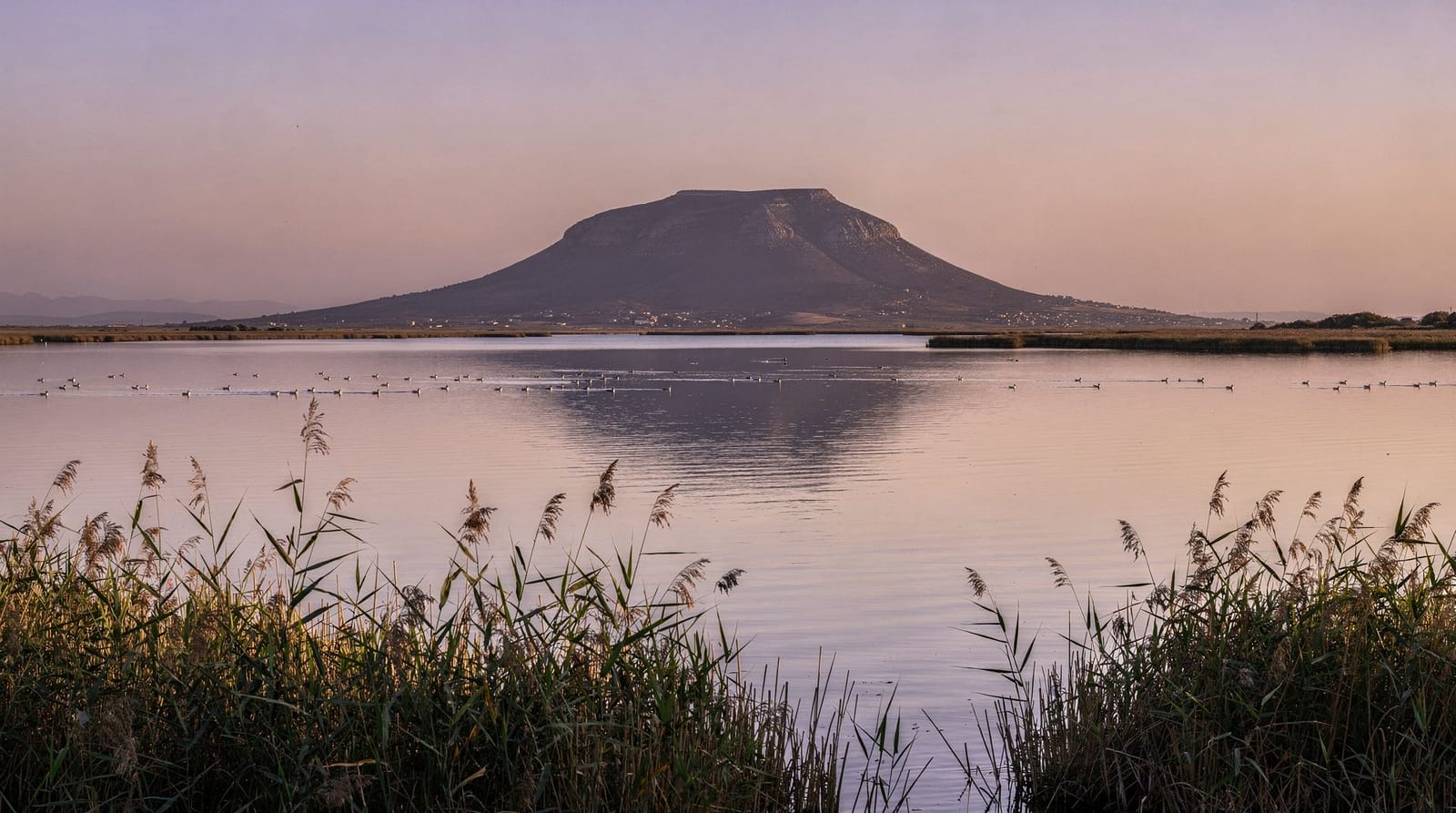 Parque nacional de Ichkeul