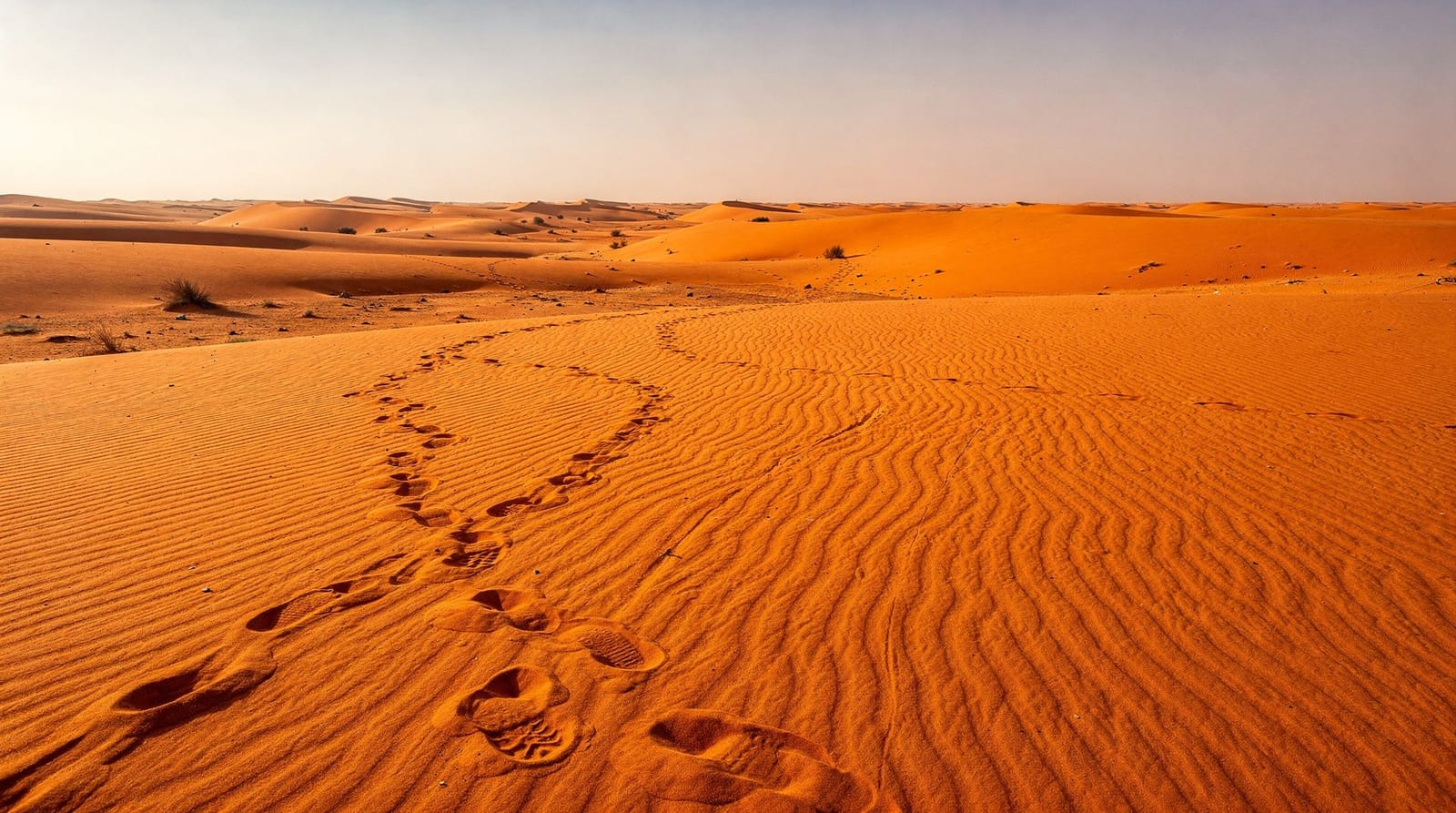 O Sahara no verão: quanto calor é demasiado calor