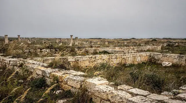 Utica: the first Phoenician city in Africa
