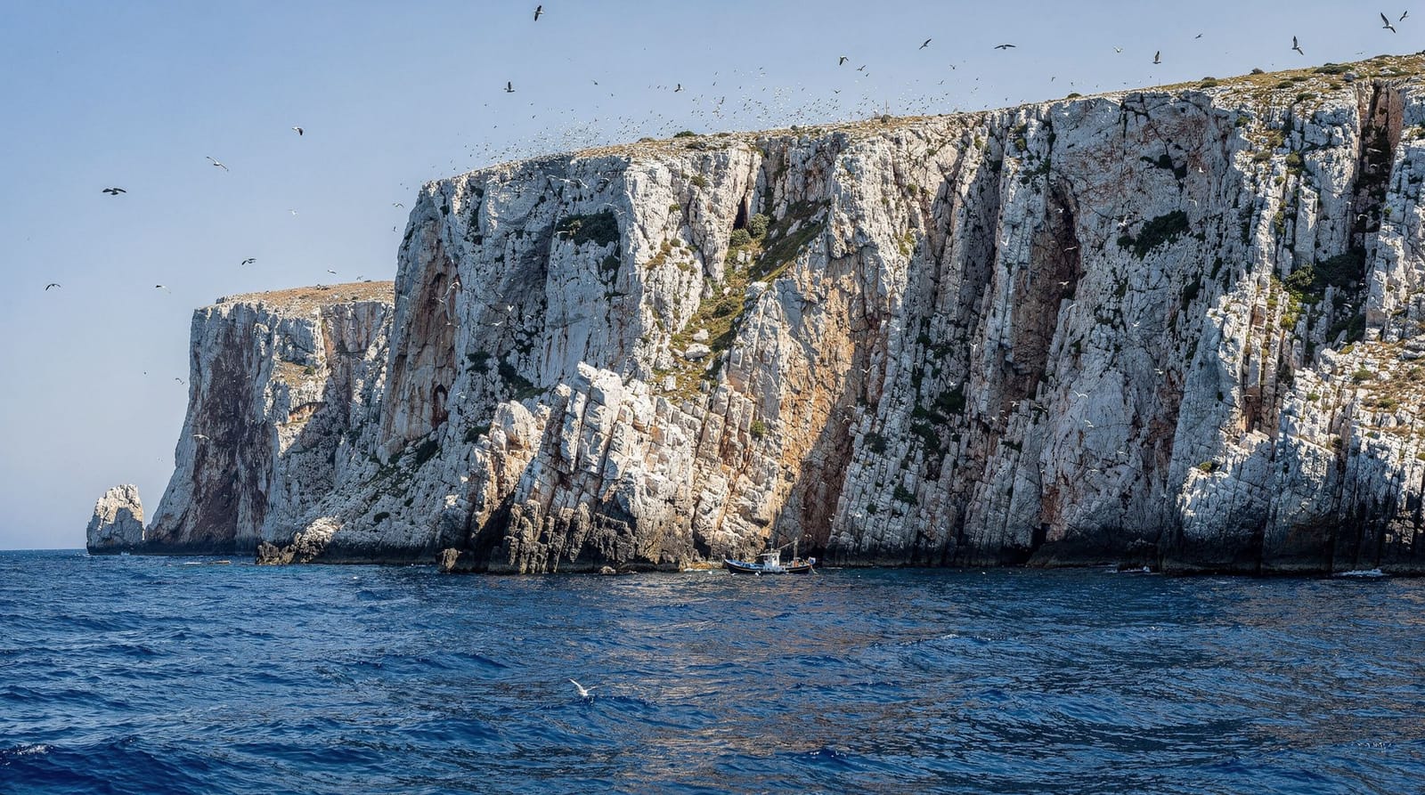 A ilha de Zembra e a reserva marinha