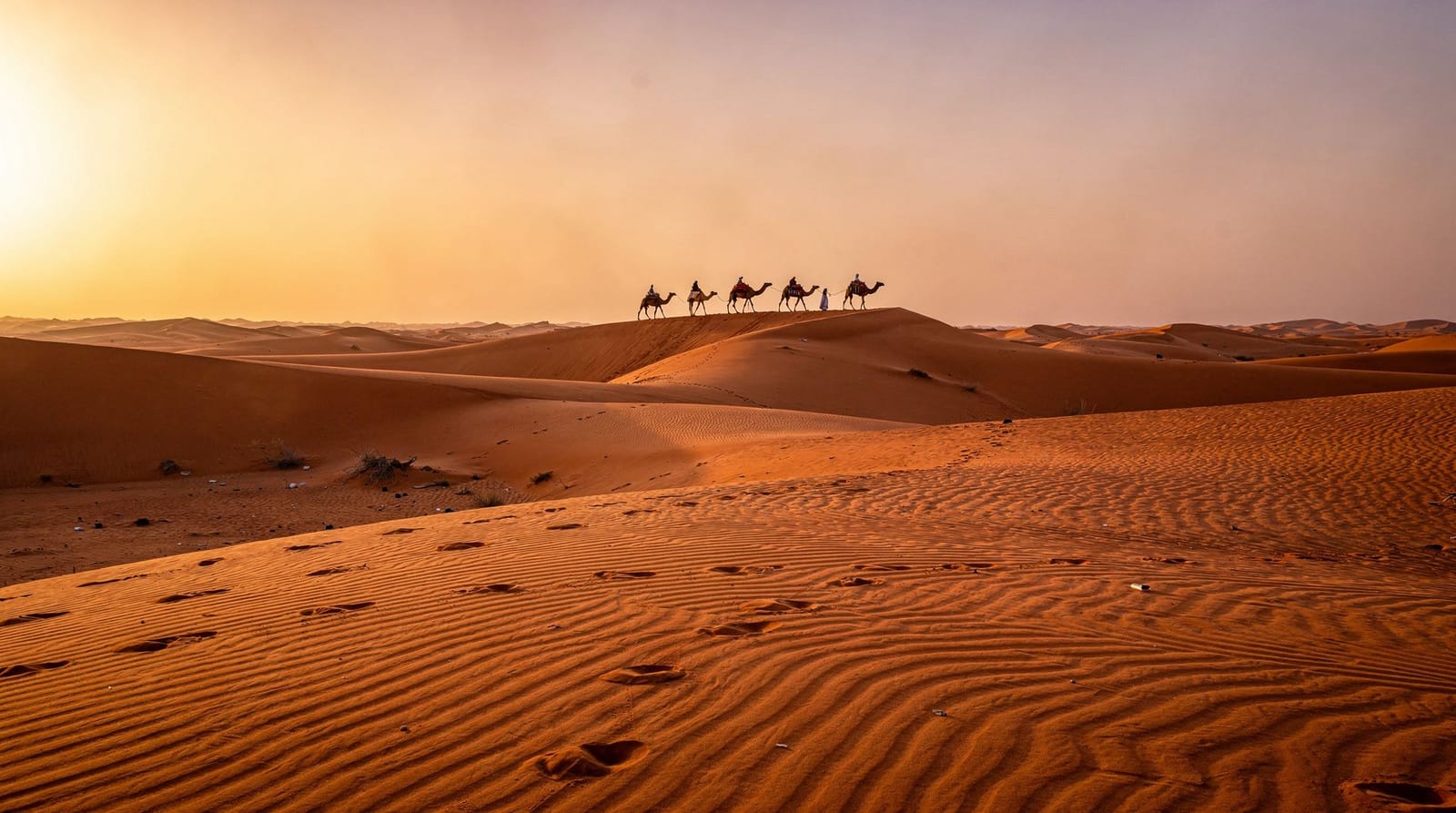 Una semana: Túnez capital y el Sahara